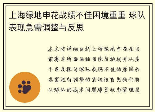 上海绿地申花战绩不佳困境重重 球队表现急需调整与反思
