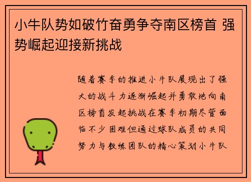小牛队势如破竹奋勇争夺南区榜首 强势崛起迎接新挑战