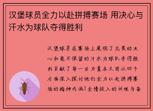 汉堡球员全力以赴拼搏赛场 用决心与汗水为球队夺得胜利
