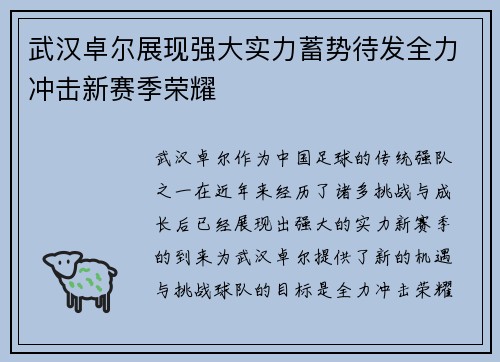 武汉卓尔展现强大实力蓄势待发全力冲击新赛季荣耀